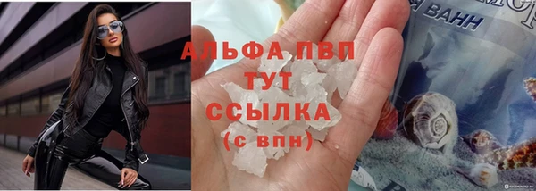 ПСИЛОЦИБИНОВЫЕ ГРИБЫ Инта