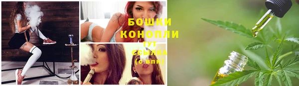 ПСИЛОЦИБИНОВЫЕ ГРИБЫ Инта