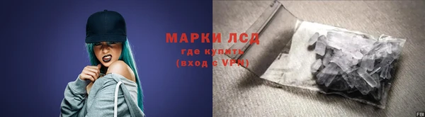 ПСИЛОЦИБИНОВЫЕ ГРИБЫ Инта