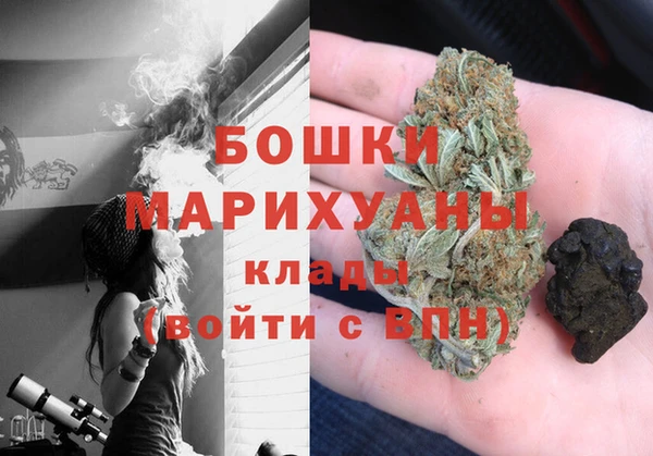 ПСИЛОЦИБИНОВЫЕ ГРИБЫ Инта