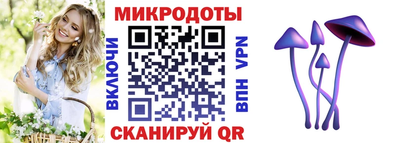 Псилоцибиновые грибы Psilocybine cubensis  Купить закладки  Окуловка 