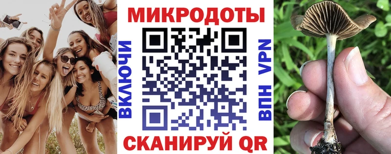 Галлюциногенные грибы Psilocybe Окуловка